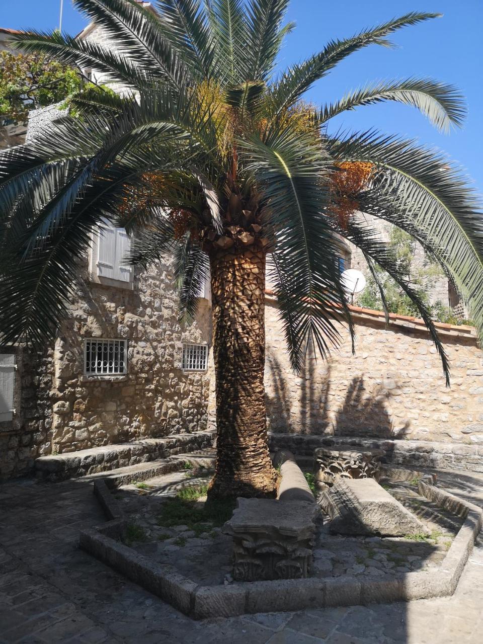 Hostel Michel Budva Exterior photo